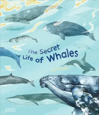 La vie secrète des baleines - The Secret Life of Whales