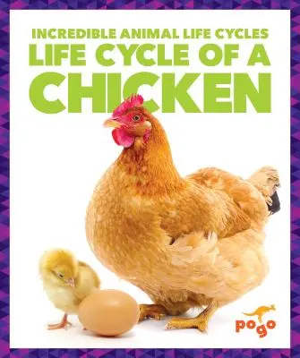 Cycle de vie d'un poulet - Life Cycle of a Chicken