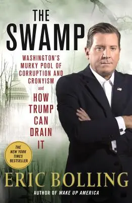 Swamp - Le bassin sombre de corruption et de copinage de Washington et comment Trump peut l'assécher - Swamp - Washington's Murky Pool of Corruption and Cronyism and How Trump Can Drain It