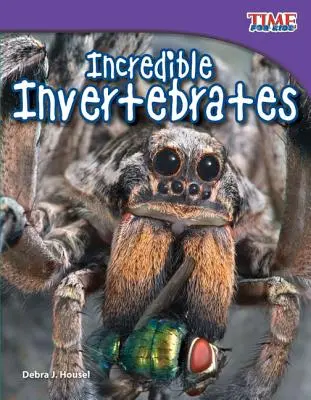 Les incroyables invertébrés - Incredible Invertebrates