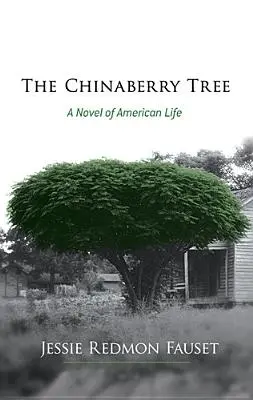 Le Chinaberry : Un roman de la vie américaine - The Chinaberry Tree: A Novel of American Life