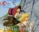 Recherche de fossiles - Fossil Finder