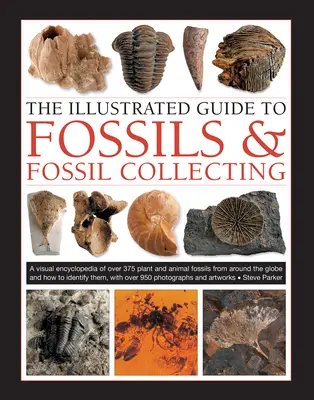 Le guide illustré des fossiles et de la collection de fossiles : Un guide de référence sur plus de 375 fossiles de plantes et d'animaux du monde entier et sur la manière de les identifier. - The Illustrated Guide to Fossils & Fossil Collecting: A Reference Guide to Over 375 Plant and Animal Fossils from Around the Globe and How to Identify