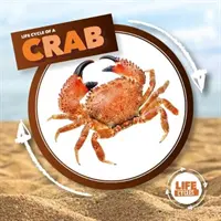 Le crabe - Crab