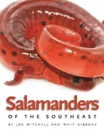 Les salamandres du Sud-Est - Salamanders of the Southeast