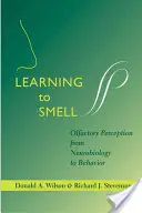 Apprendre à sentir : la perception olfactive, de la neurobiologie au comportement - Learning to Smell: Olfactory Perception from Neurobiology to Behavior