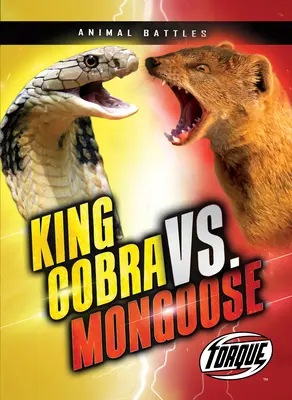 Roi Cobra contre Mangouste - King Cobra vs. Mongoose