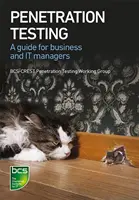 Test de pénétration : Un guide pour les entreprises et les responsables informatiques - Penetration Testing: A Guide for Business and It Managers