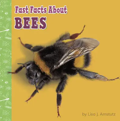 Les abeilles en bref - Fast Facts about Bees