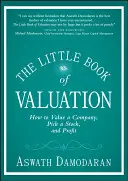 Le petit livre de l'évaluation : Comment évaluer une entreprise, choisir une action et faire des bénéfices - The Little Book of Valuation: How to Value a Company, Pick a Stock, and Profit