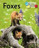 Renards - Phase 5 de l'enseignement de l'anglais - Foxes - Phonics Phase 5