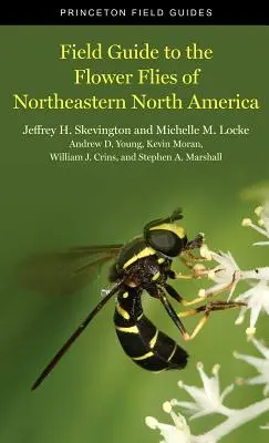 Guide de terrain des mouches des fleurs du nord-est de l'Amérique du Nord - Field Guide to the Flower Flies of Northeastern North America