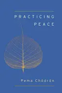 Pratiquer la paix (Shambhala Pocket Classic) - Practicing Peace (Shambhala Pocket Classic)