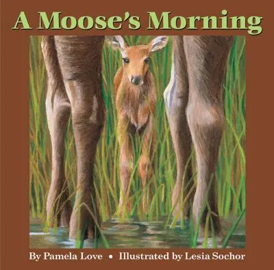 Le matin d'un élan - A Moose's Morning