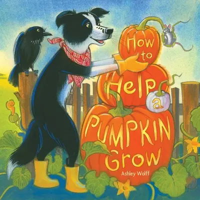 Comment aider une citrouille à grandir - How to Help a Pumpkin Grow