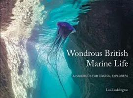 Wondrous British Marine Life - Un manuel pour les explorateurs de la côte - Wondrous British Marine Life - A handbook for coastal explorers