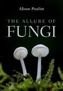 L'attrait des champignons - The Allure of Fungi