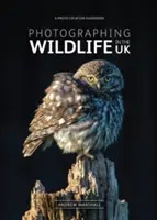 Photographier la faune au Royaume-Uni - Où et comment prendre de superbes photos de la faune - Photographing Wildlife in the UK - Where and How to Take Great Wildlife Photographs