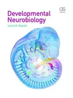 Neurobiologie du développement - Developmental Neurobiology