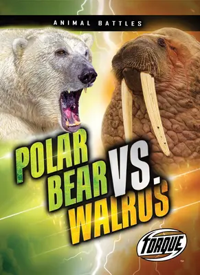 Ours polaire contre morse - Polar Bear vs. Walrus