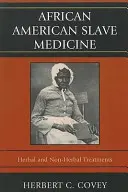 Médecine des esclaves afro-américains : Traitements à base de plantes et autres - African American Slave Medicine: Herbal and non-Herbal Treatments
