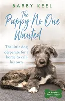 Puppy No One Wanted - Le jeune chien désespérément à la recherche d'un foyer. - Puppy No One Wanted - The young dog desperate for a home to call his own