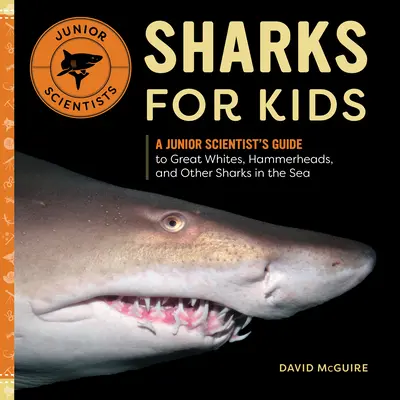 Les requins pour les enfants : Guide du jeune scientifique sur les grands blancs, les requins-marteaux et les autres requins de la mer - Sharks for Kids: A Junior Scientist's Guide to Great Whites, Hammerheads, and Other Sharks in the Sea