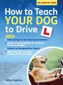 Comment apprendre à son chien à conduire - How to Teach your Dog to Drive