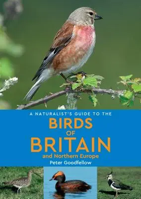 Guide naturaliste des oiseaux de Grande-Bretagne et d'Europe du Nord - A Naturalist's Guide to the Birds of Britain & Northern Europe