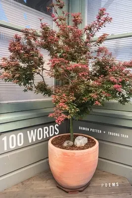 100 Words : Poèmes - 100 Words: Poems