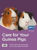 Prendre soin de vos cochons d'Inde - Care for Your Guinea Pigs