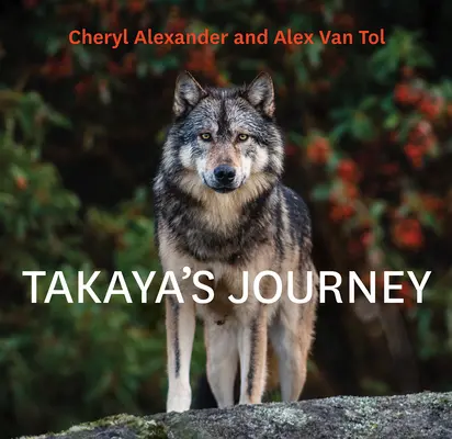 Le voyage de Takaya - Takaya's Journey