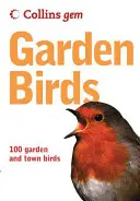 Les oiseaux du jardin - Garden Birds