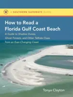 Comment lire une plage de la côte du Golfe de Floride : Un guide des dunes d'ombre, des forêts fantômes et d'autres indices révélateurs d'une côte en perpétuelle évolution - How to Read a Florida Gulf Coast Beach: A Guide to Shadow Dunes, Ghost Forests, and Other Telltale Clues from an Ever-Changing Coast