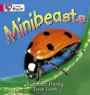 Minibêtes - Minibeasts