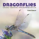 Les libellules : Attraper - Identifier - Comment et où ils vivent - Dragonflies: Catching - Identifying - How and Where They Live