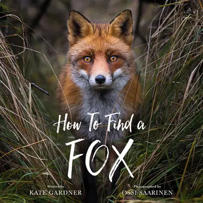 Comment trouver un renard - How to Find a Fox