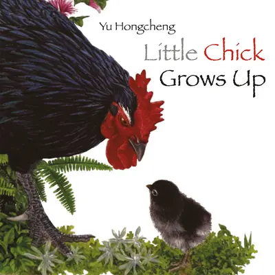Le petit poussin grandit - Little Chick Grows Up