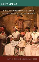 La vie quotidienne des esclaves afro-américains dans le Sud de l'Antebellum - Daily Life of African American Slaves in the Antebellum South