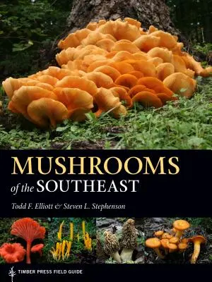 Les champignons du Sud-Est - Mushrooms of the Southeast