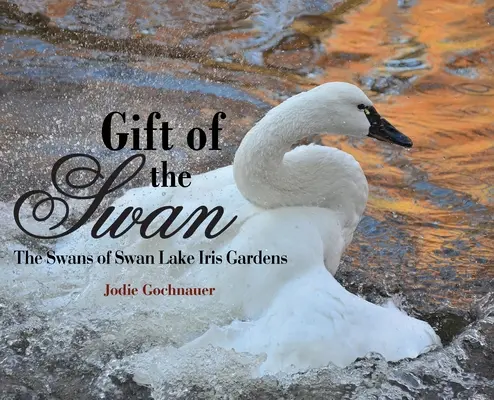 Le don du cygne : les cygnes du lac des cygnes, jardins d'iris - Gift of the Swan: The Swans of Swan Lake Iris Gardens