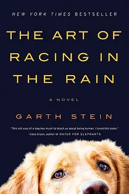 L'art de courir sous la pluie - The Art of Racing in the Rain