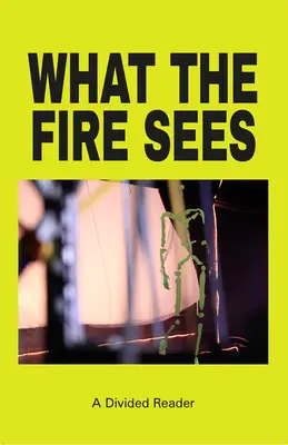 Ce que voit le feu : Un lecteur divisé - What the Fire Sees: A Divided Reader