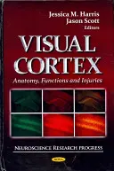 Cortex visuel - Anatomie, fonctions et lésions - Visual Cortex - Anatomy, Functions & Injuries