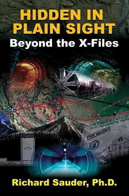 Cachés au vu et au su de tous : Au-delà de X-Files - Hidden in Plain Sight: Beyond the X-Files