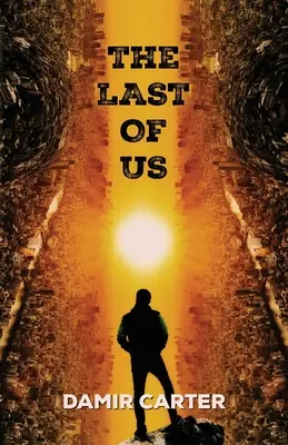 Le dernier d'entre nous - The Last of Us