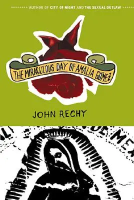 Le jour miraculeux d'Amalia Gmez - The Miraculous Day of Amalia Gmez