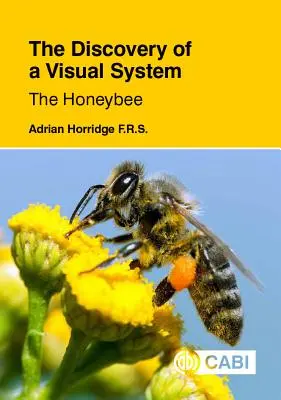 La découverte d'un système visuel - l'abeille domestique - The Discovery of a Visual System - The Honeybee