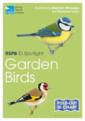 Rspb Id Spotlight - Oiseaux de jardin - Rspb Id Spotlight - Garden Birds