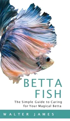 Poisson Betta - Betta Fish